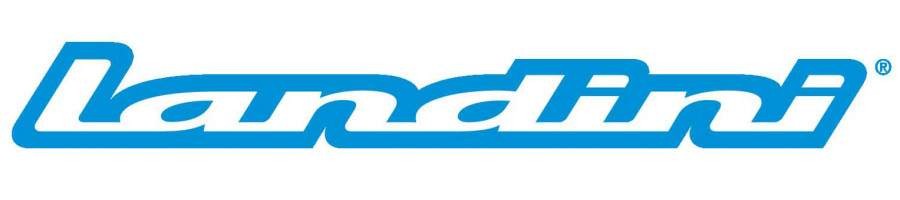 LANDINI